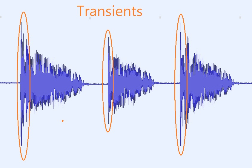 What are transients-photo 1